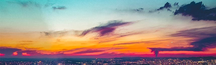 巨野茶虫网_巨野品茶